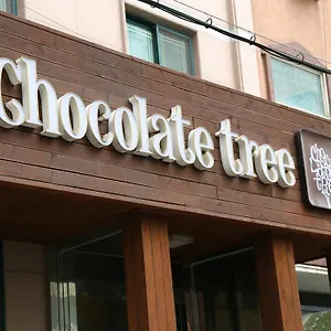 Chocolate Tree ** 首爾